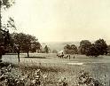 Making Hay - Mearbeck House - 1905